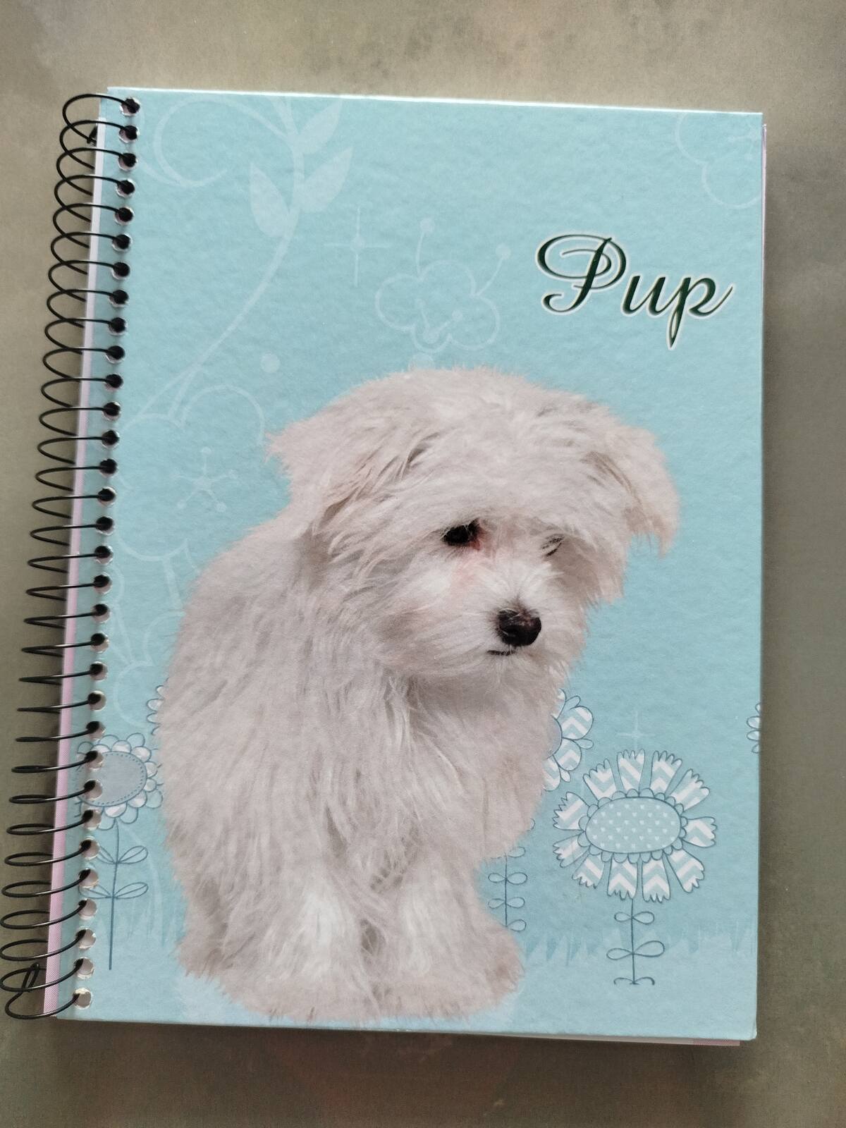 Caderno feminino 96 folhas